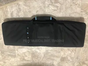 Original Roland Juno Ds 61 Keyboard Bag (Used Clean)_ Kumasi