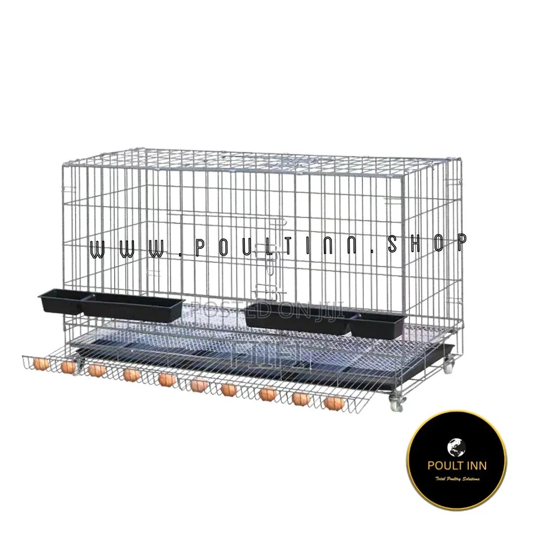 Chicken Cage