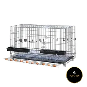 Chicken Cage