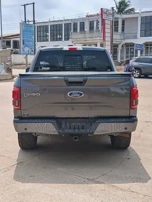 Ford F-150 2017 Gray