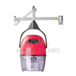 Saloon Wall Mount Dryer