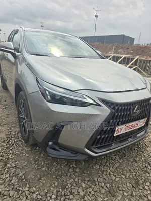 Lexus NX 2025 Gray