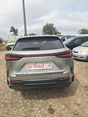 Lexus NX 2025 Gray