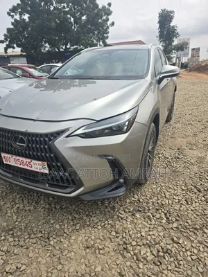 Lexus NX 2025 Gray