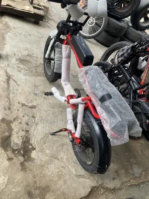 Electric Bike