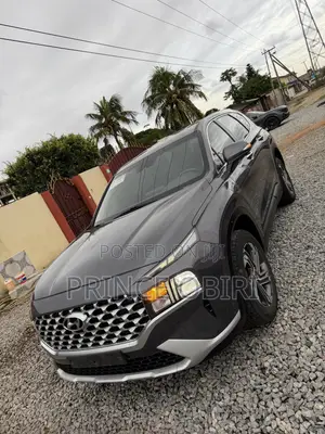 Hyundai Santa Fe 2022 Gray