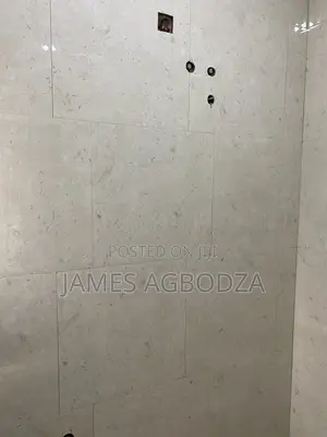 Professional Tiling Master