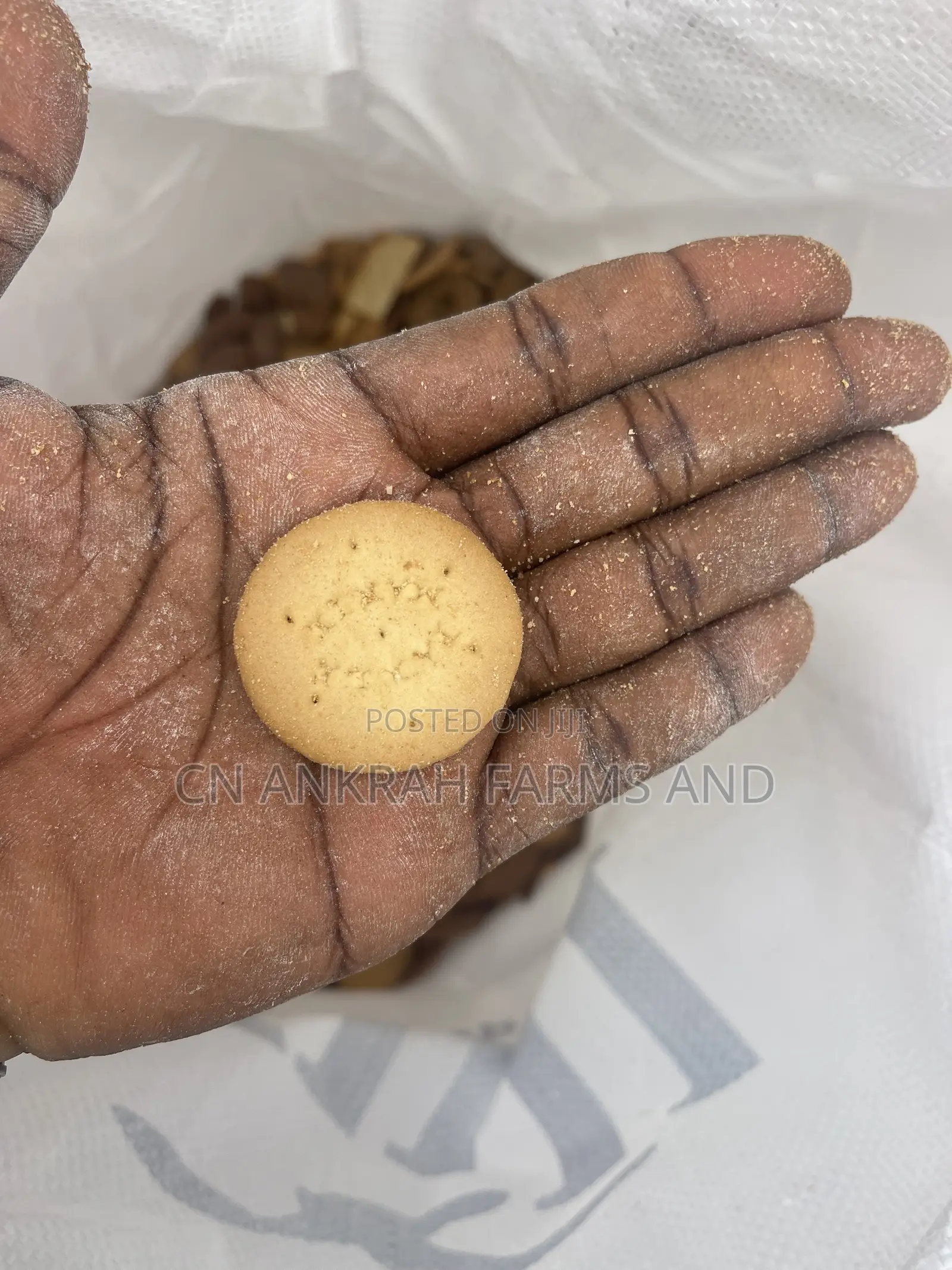 Broken Biscuit for Pigs and Broilers