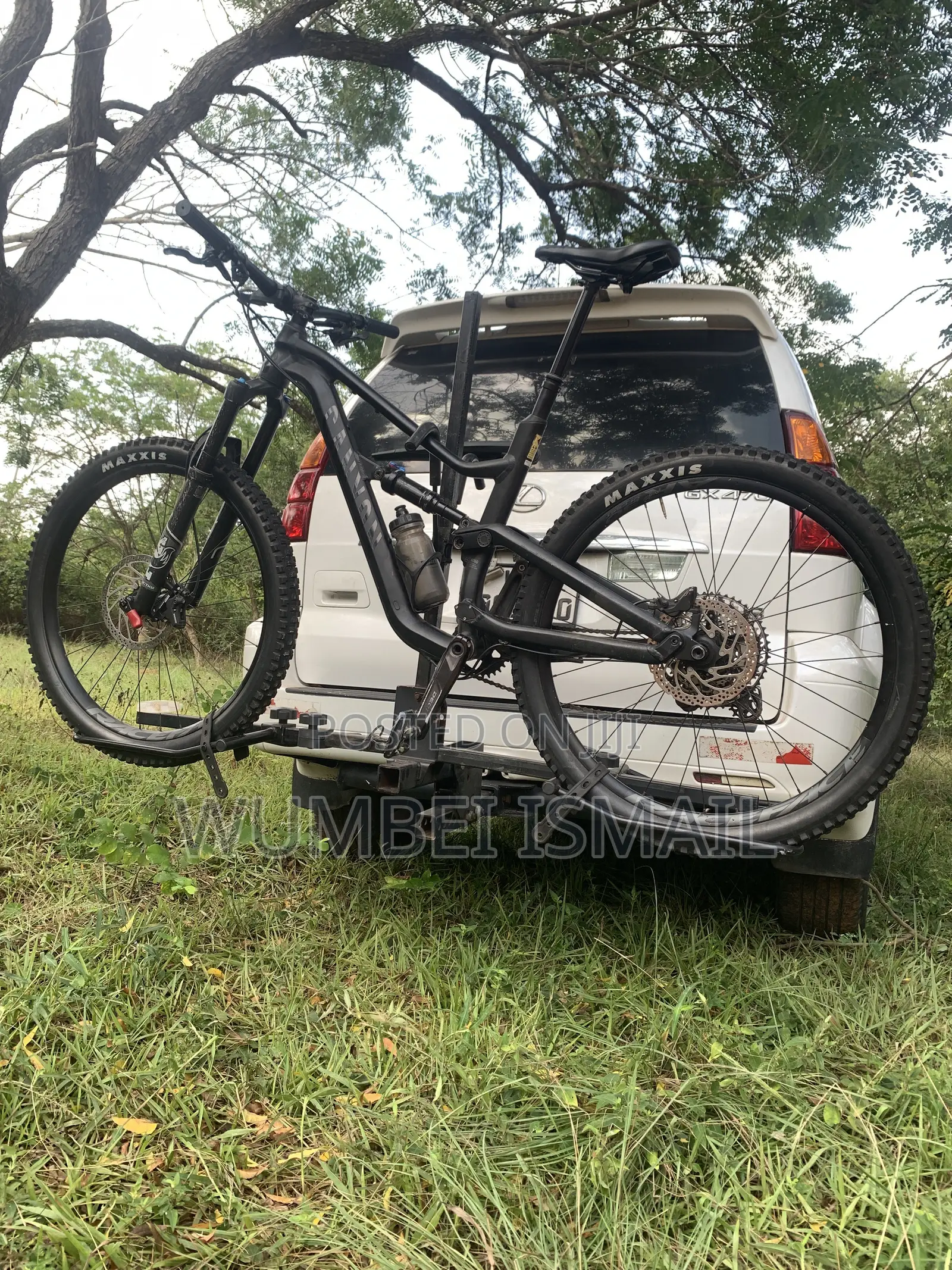 Canyon Spectra Mountain Bike