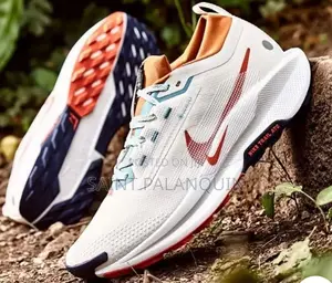 Nike Pegasus Trail 5 GORE-TEX "Phantom" White and "Vintage Coral"