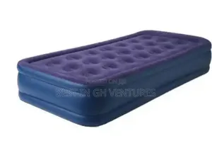 Sing Raised Airbed With Inbuilt Pump