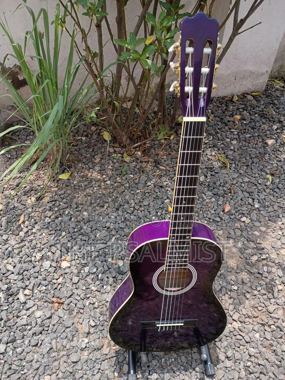 Ashton CG34TP Acoustic Guitar