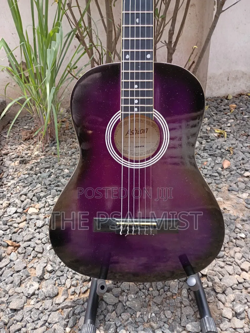 Ashton CG34TP Acoustic Guitar