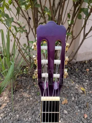 Ashton CG34TP Acoustic Guitar