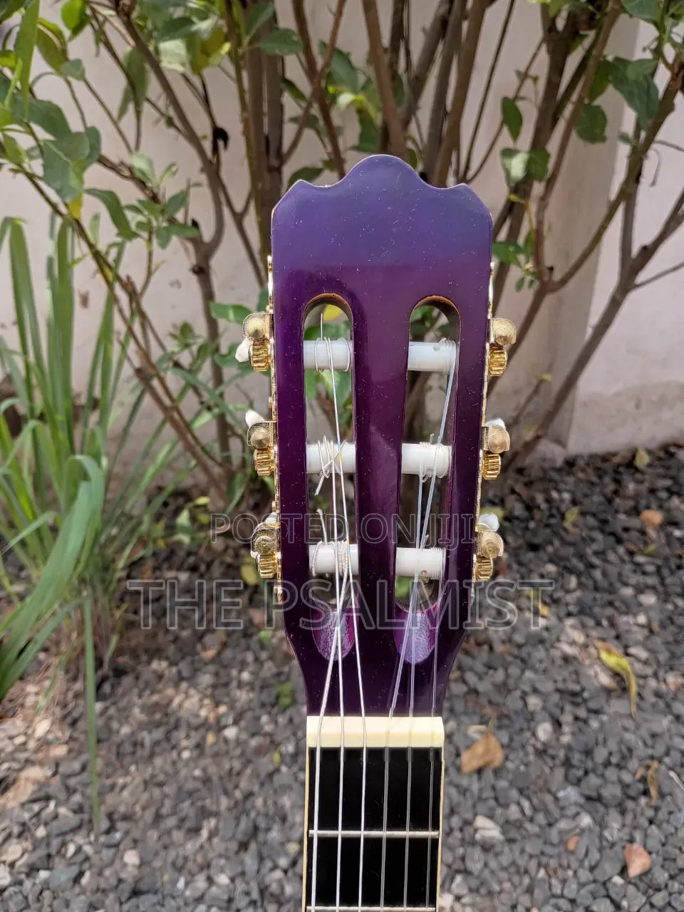 Ashton CG34TP Acoustic Guitar