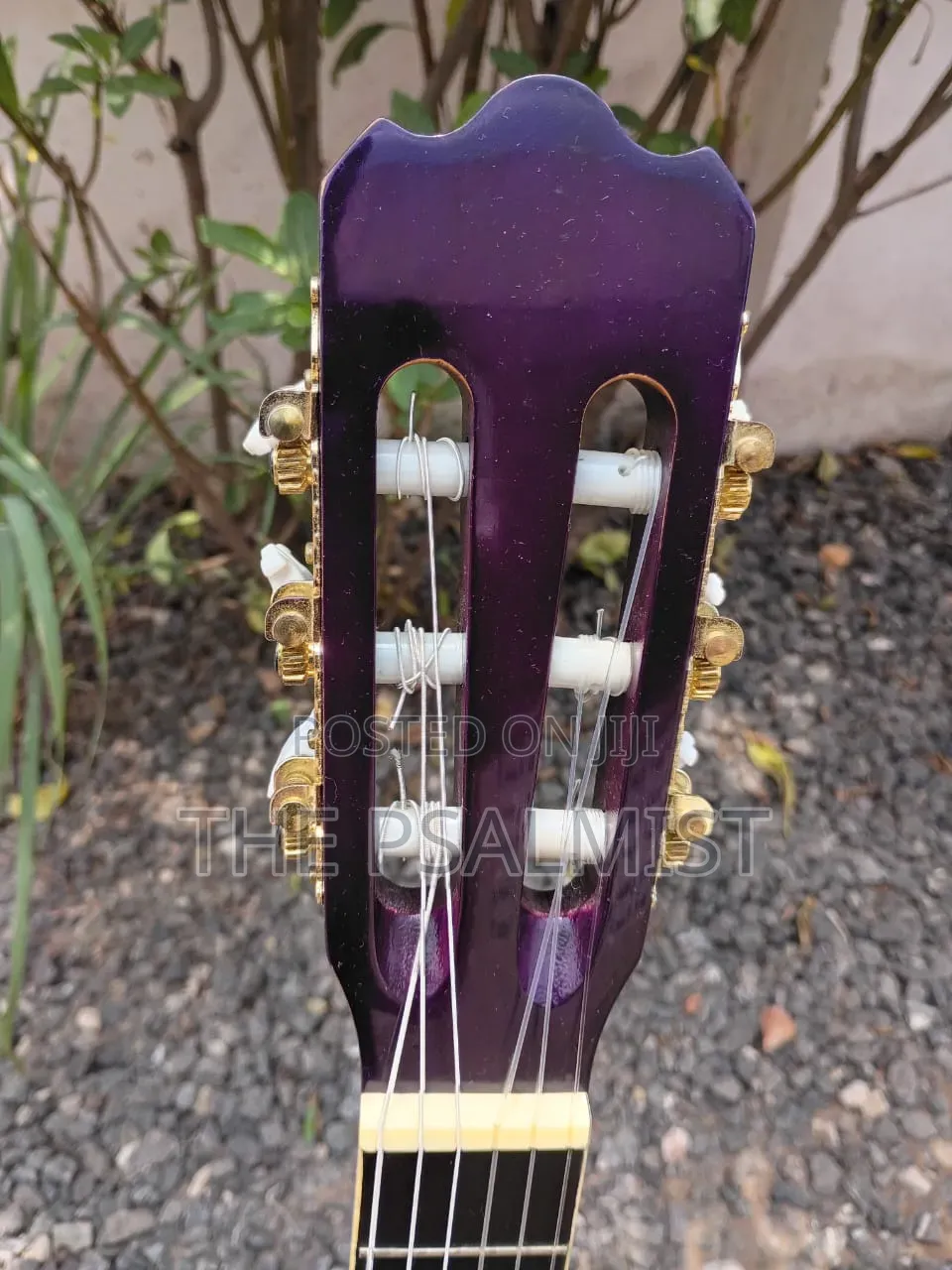 Ashton CG34TP Acoustic Guitar