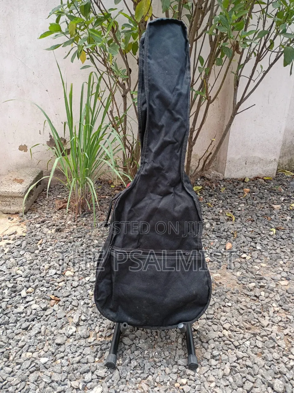 Ashton CG34TP Acoustic Guitar