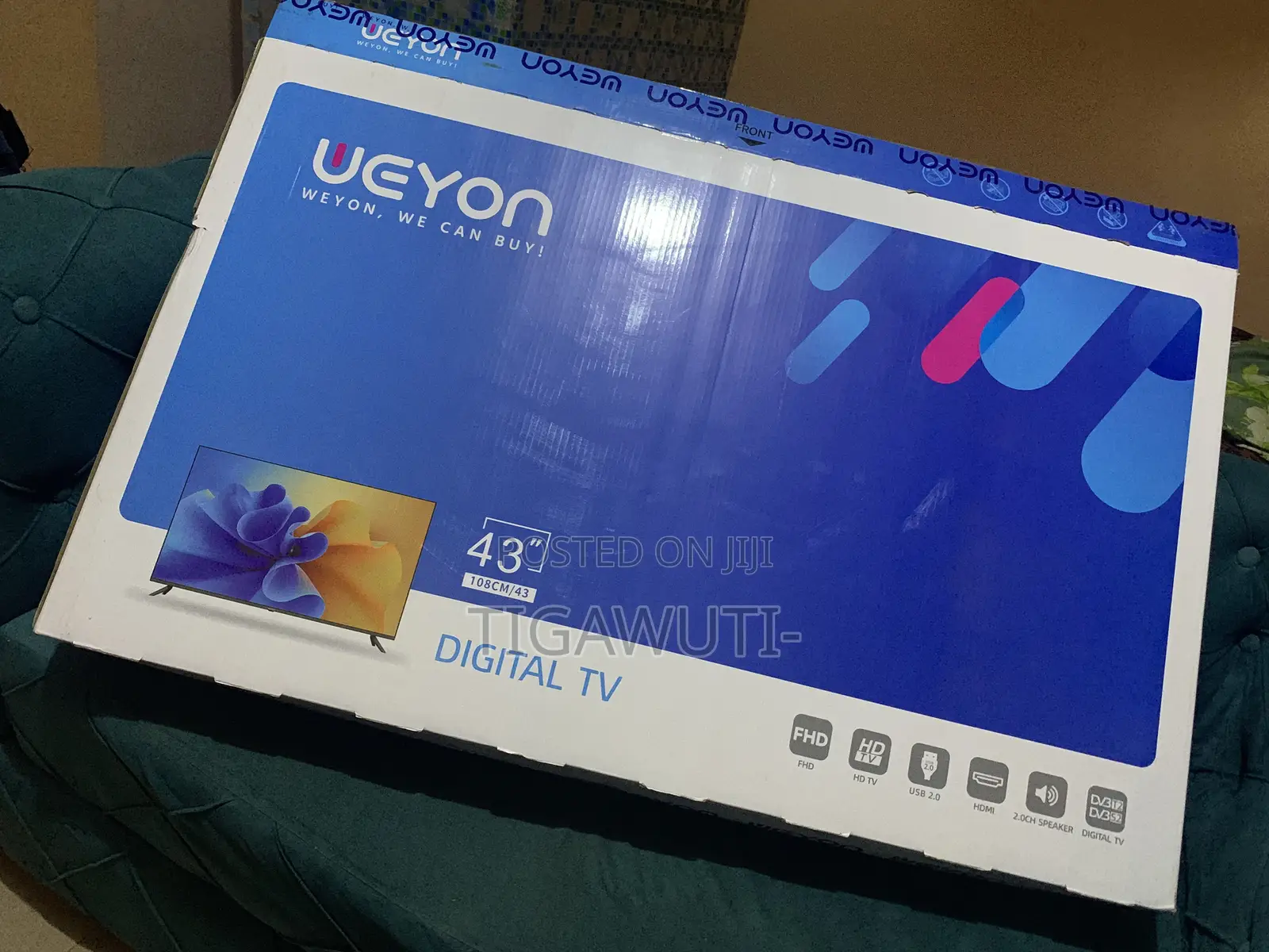 Television