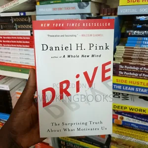 Drive: The Surprising Truth About What Motivates Us