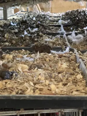 Poultry Manure