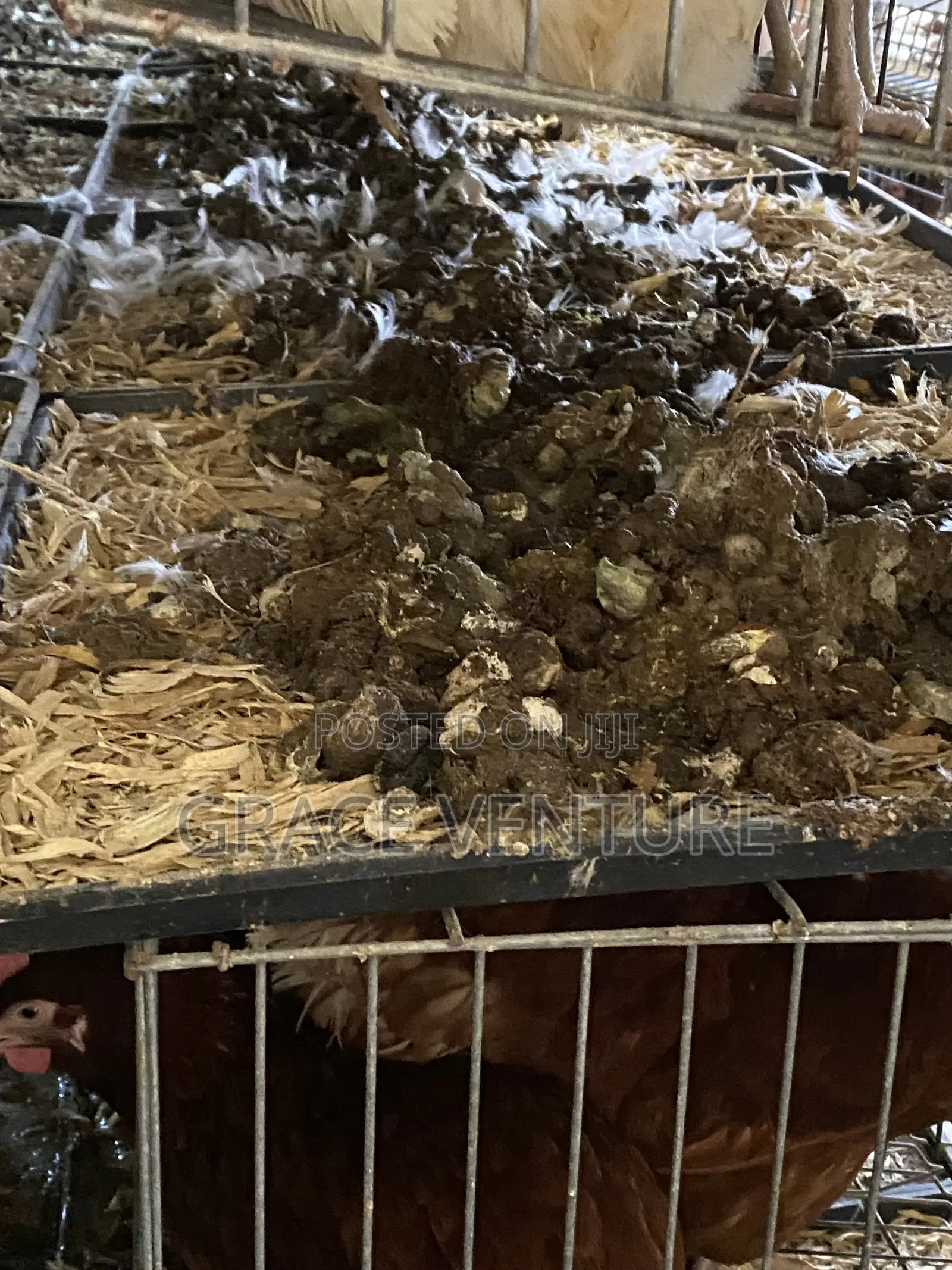 Poultry Manure