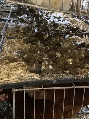 Poultry Manure