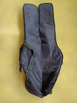 Spear Padded Lead Guitar Bags