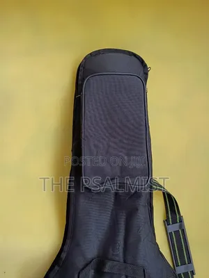 Spear Padded Lead Guitar Bags