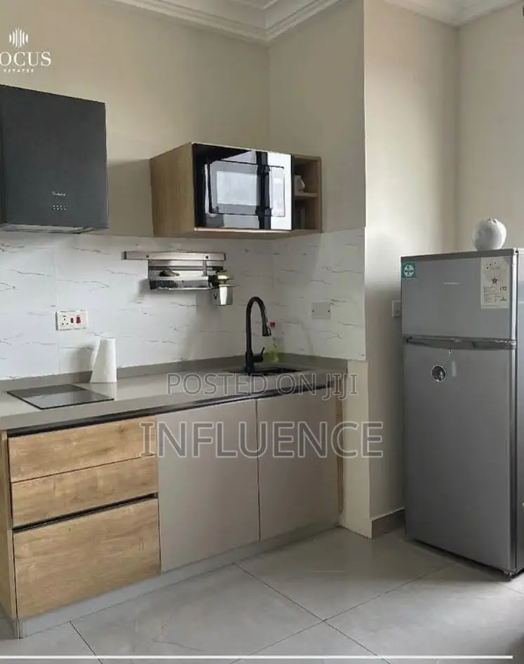 Furnished 1bdrm Apartment in East Legon for rent