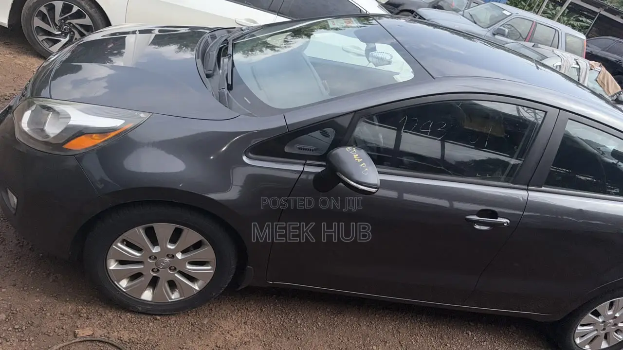 Kia Rio 2015 Gray