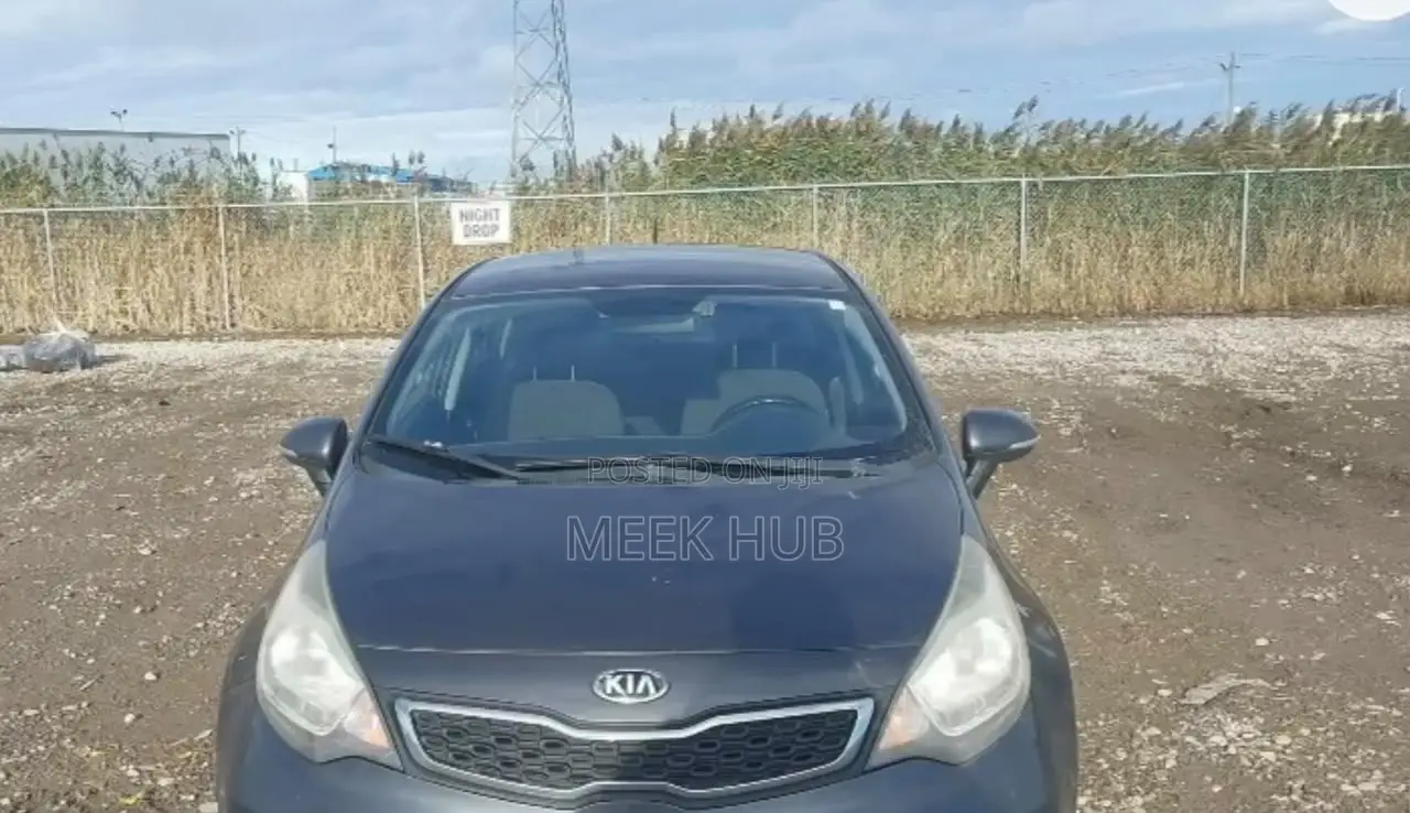 Kia Rio 2015 Gray