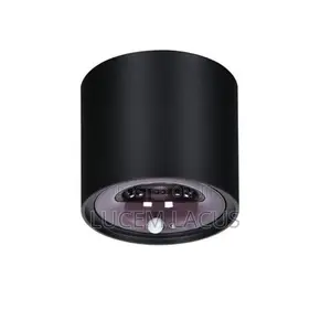 Motion Sensor Surface Mounted Spotlight