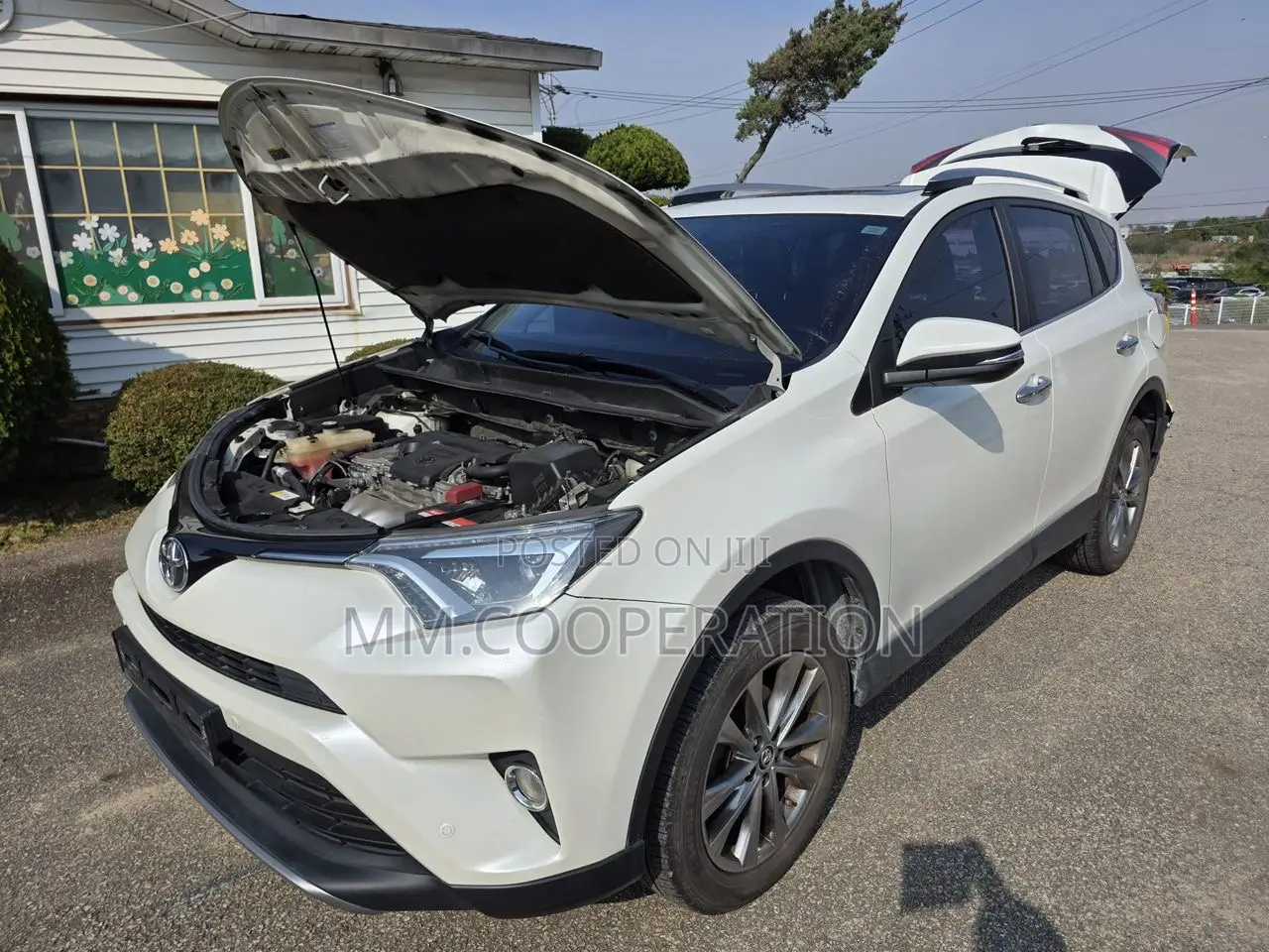Toyota RAV4 XLE AWD (2.5L 4cyl 6A) 2017 White