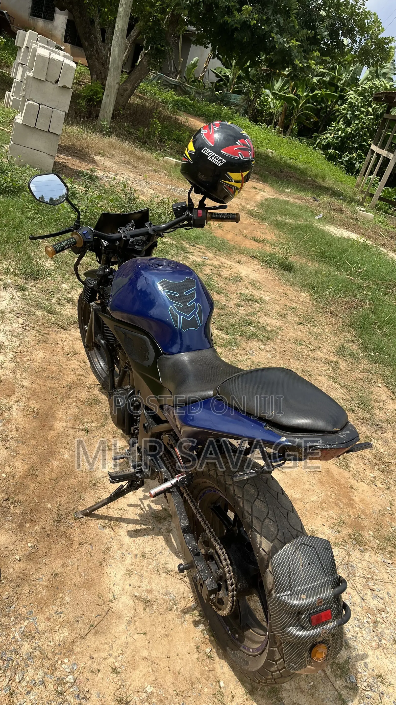 Kawasaki EX250 2025 Blue