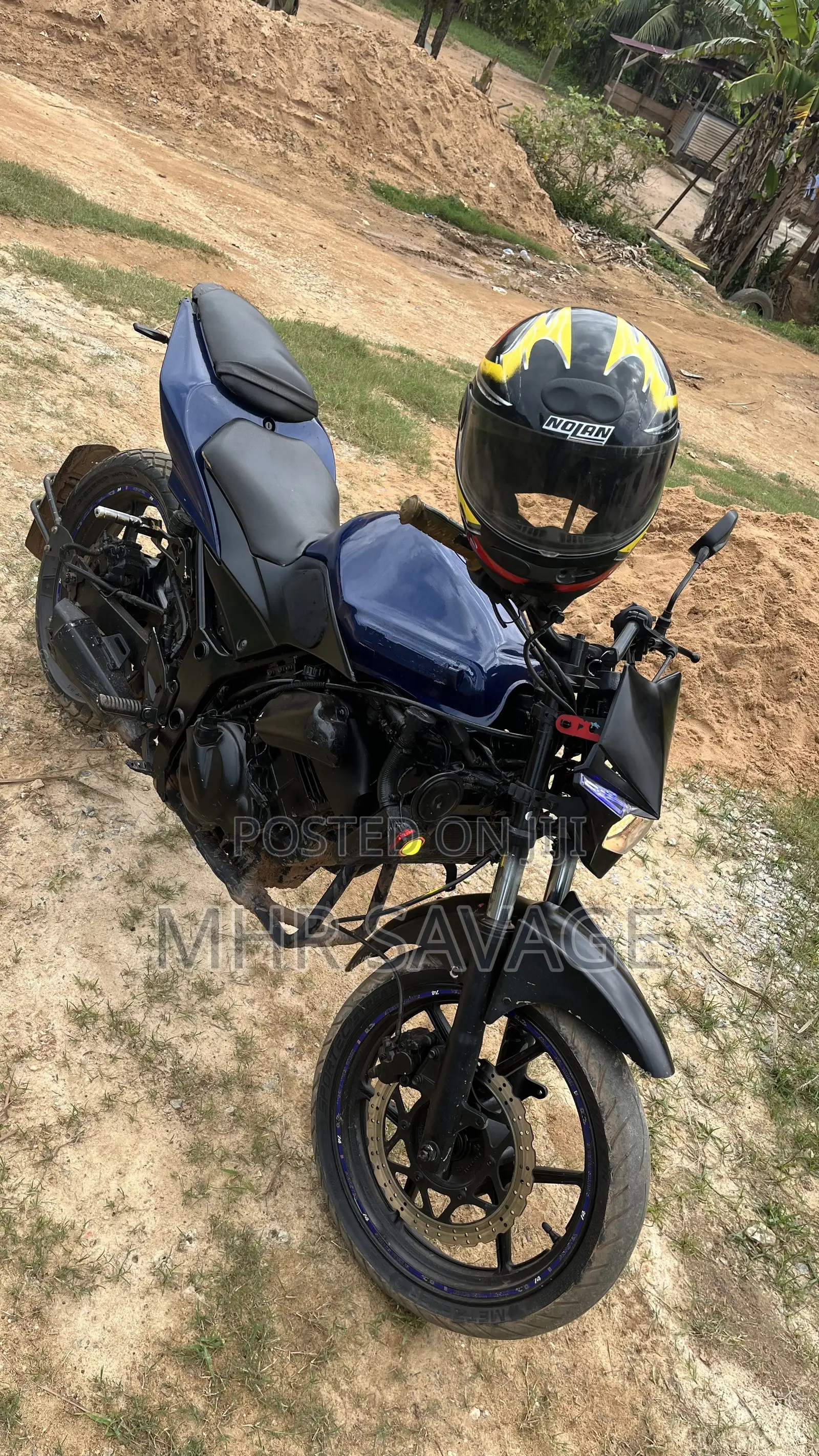 Kawasaki EX250 2025 Blue