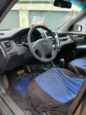 Kia Sportage 2010 Gray
