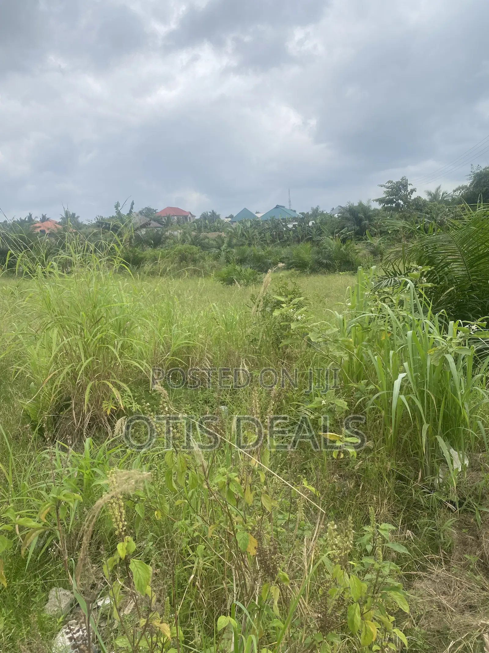 Two Plot of Land for Sale