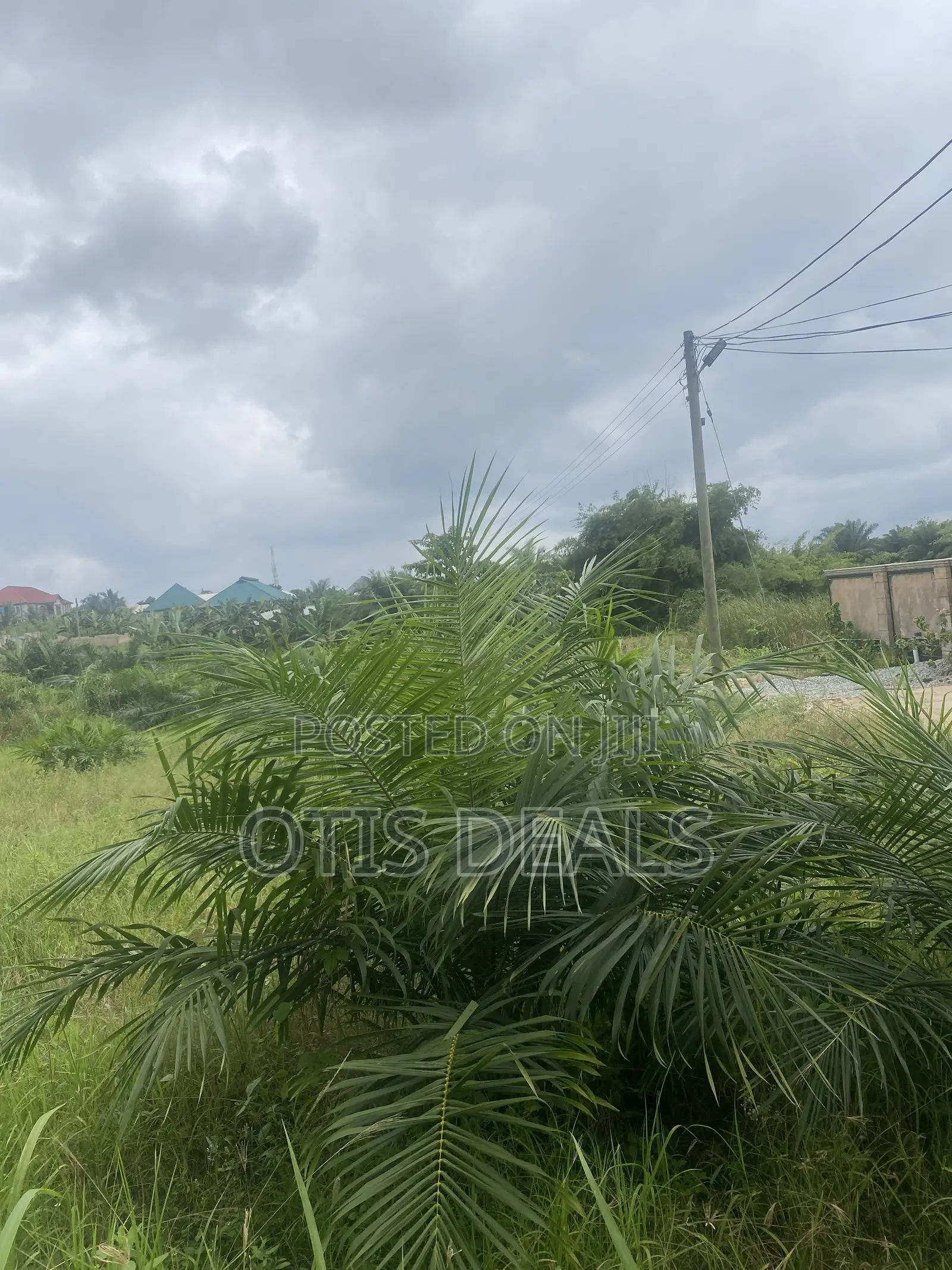 Two Plot of Land for Sale