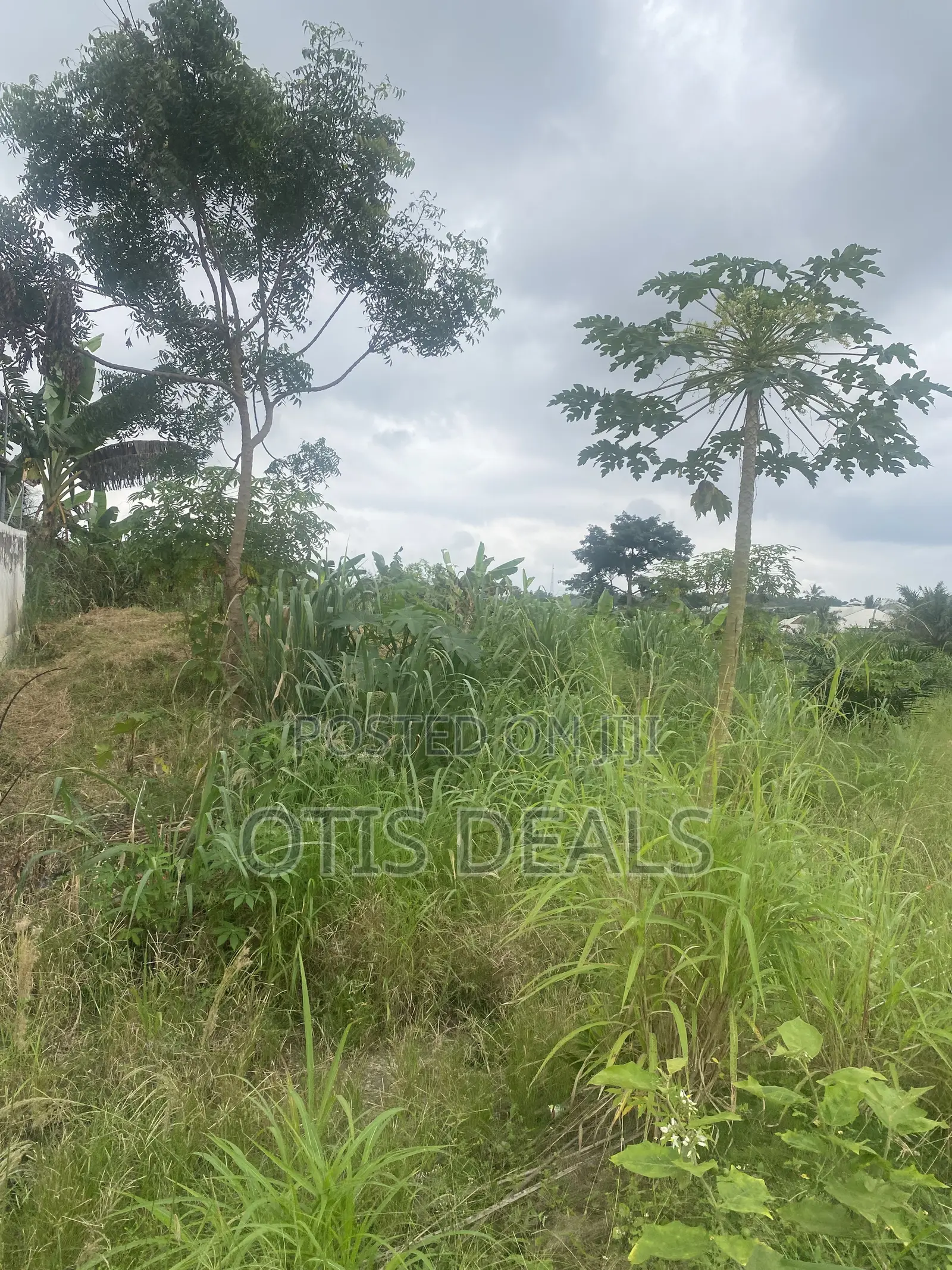 Two Plot of Land for Sale