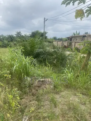 Two Plot of Land for Sale