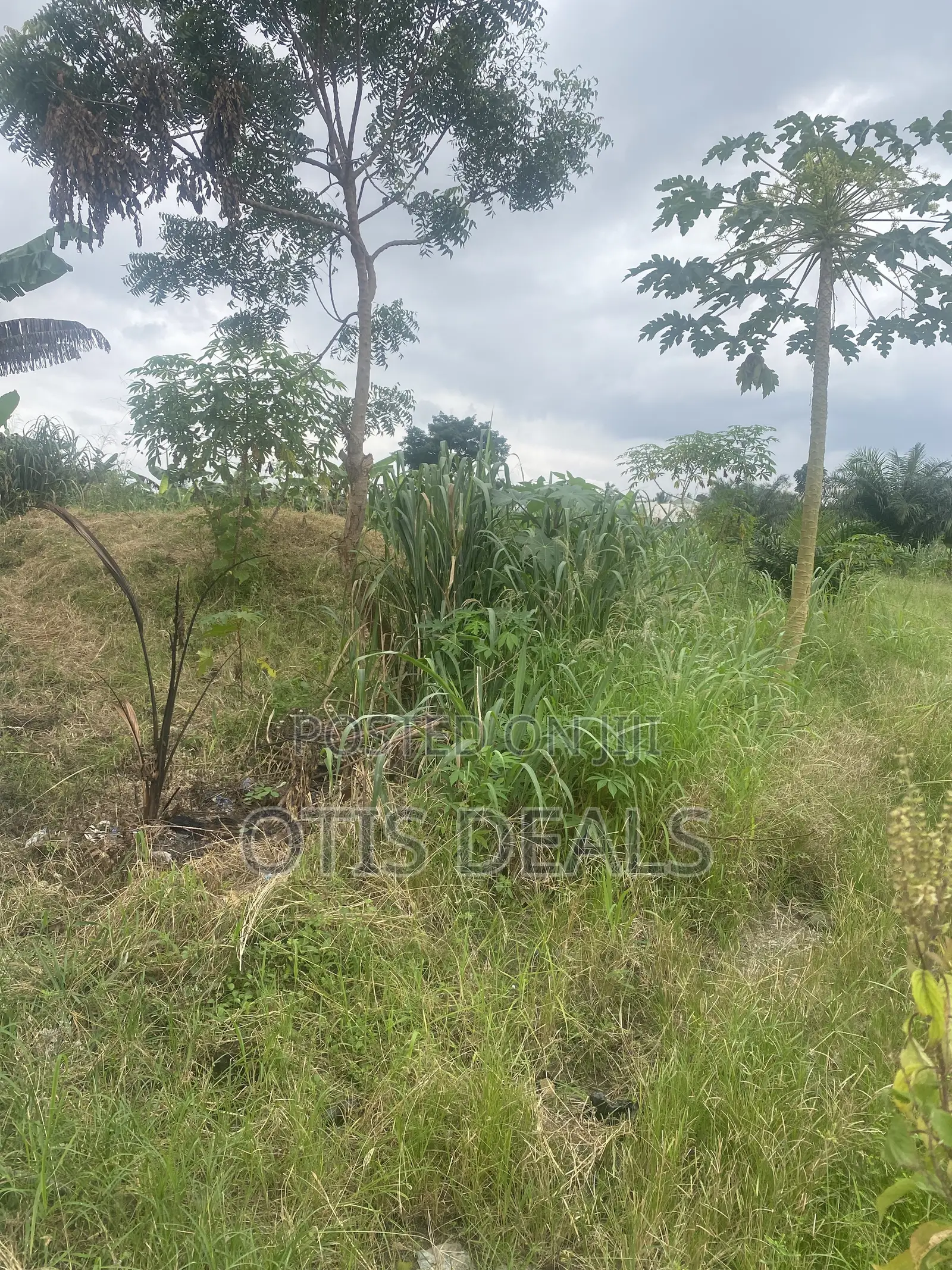 Two Plot of Land for Sale