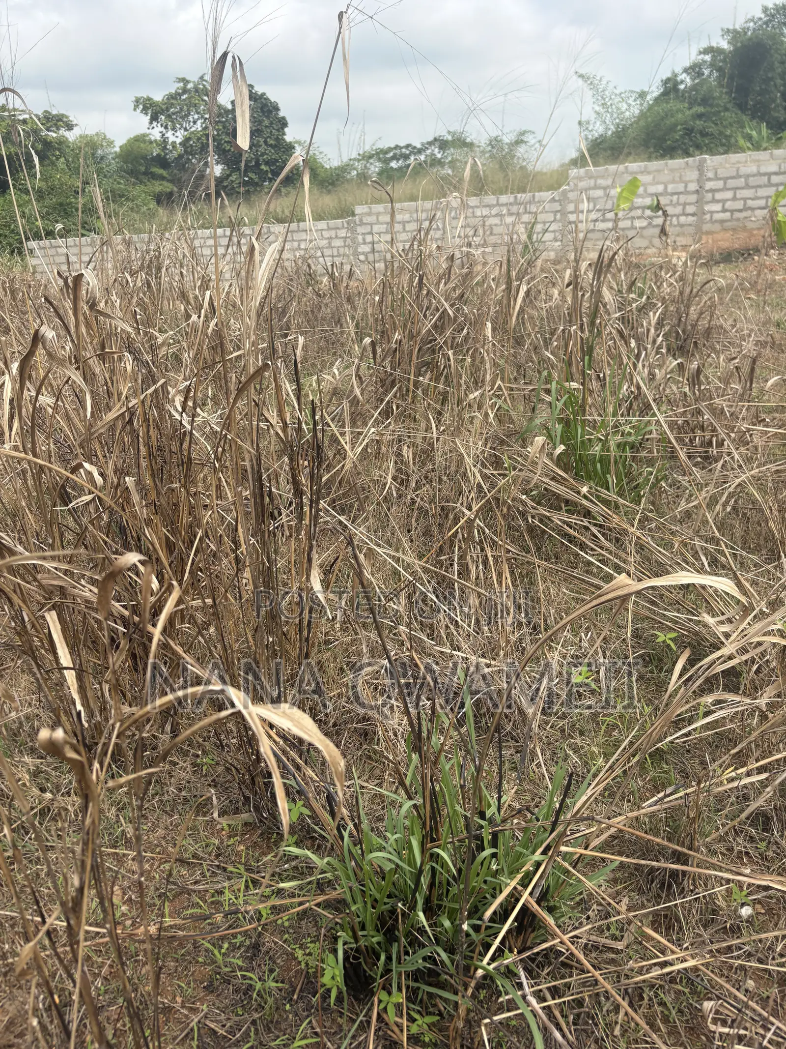 Residential Land