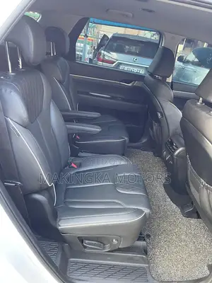 Hyundai Palisade Calligraphy 2021 White