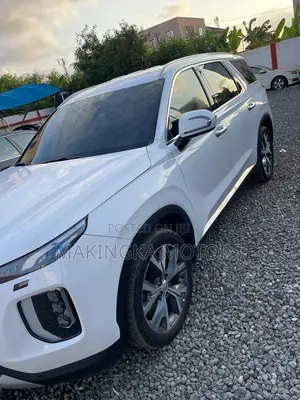 Hyundai Palisade Calligraphy 2021 White