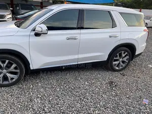 Hyundai Palisade Calligraphy 2021 White