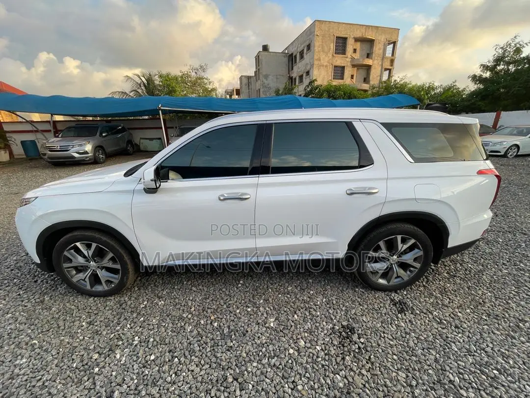 Hyundai Palisade Calligraphy 2021 White