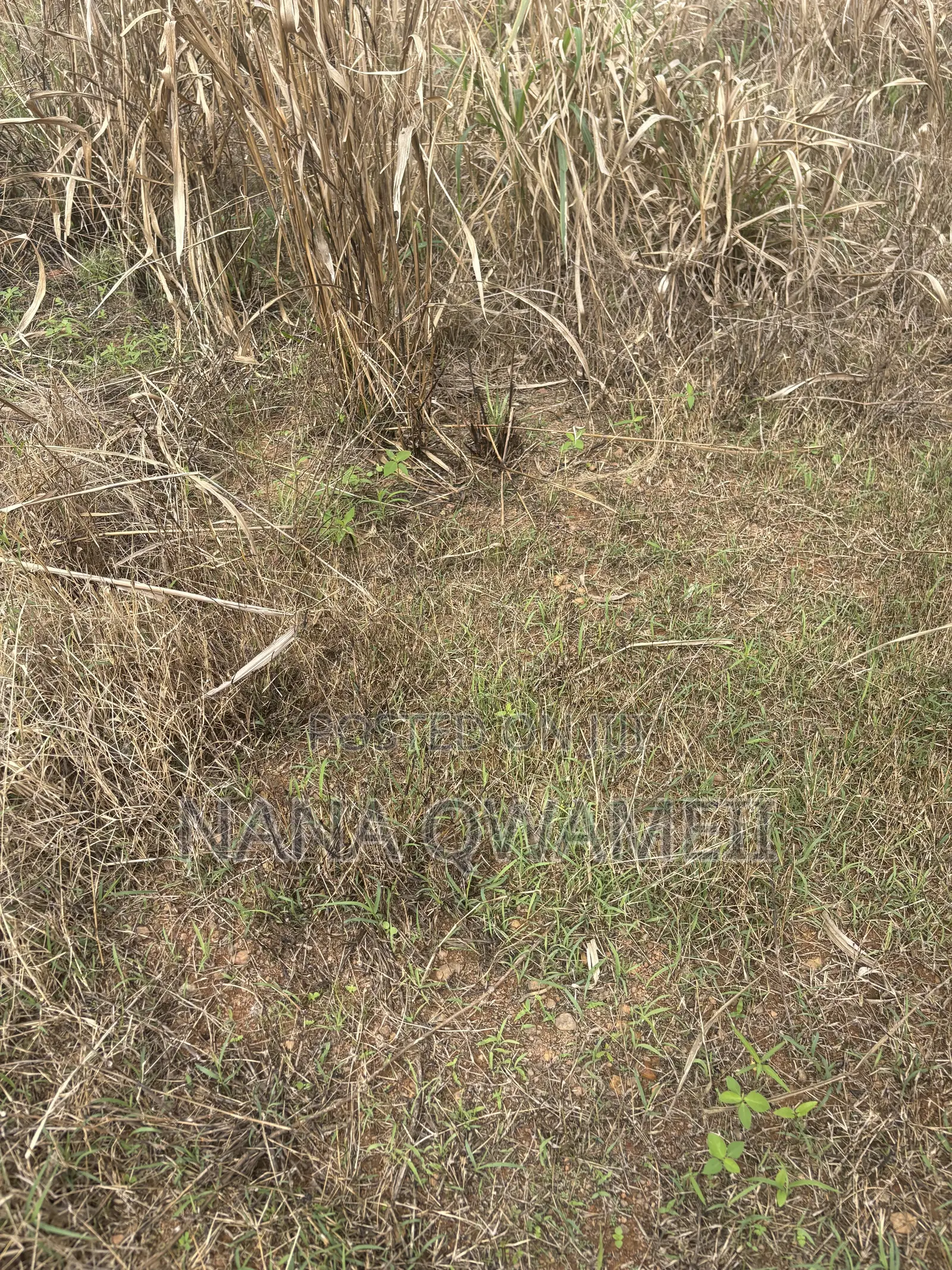 Residential Land