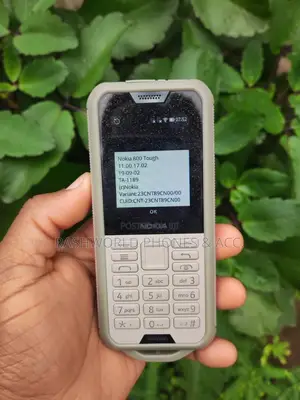 New Nokia 800 Tough 4 GB Gray