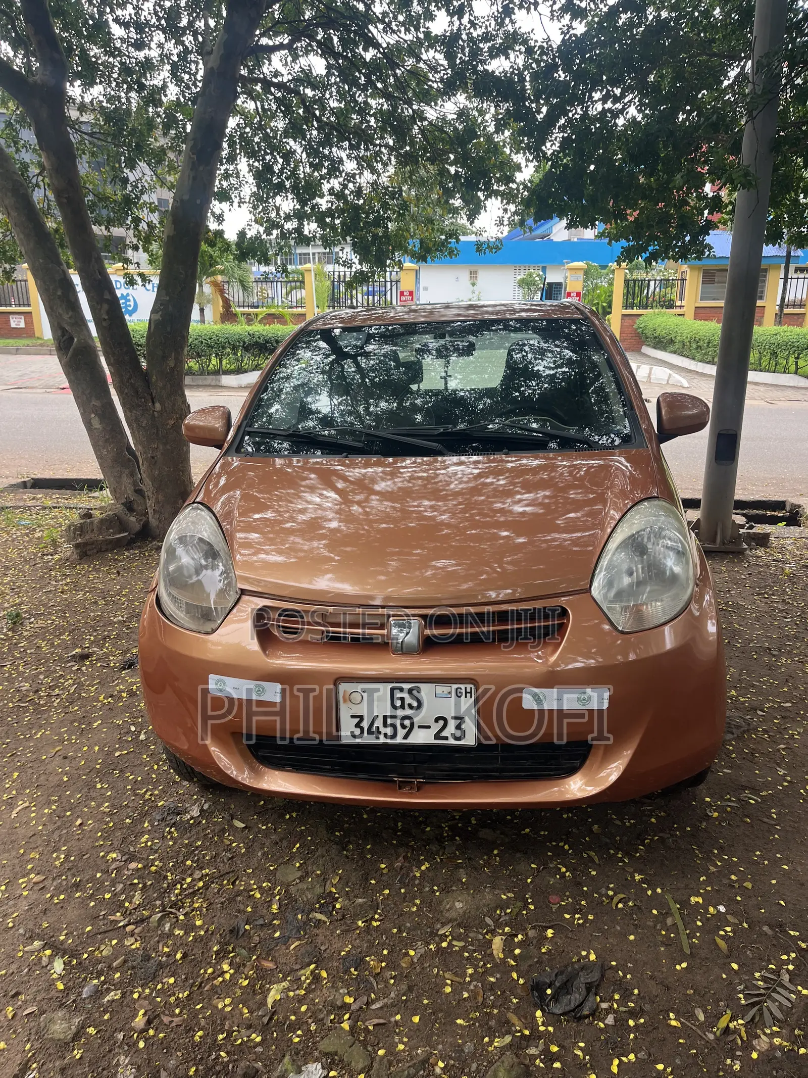 Toyota Passo 2010 Gold