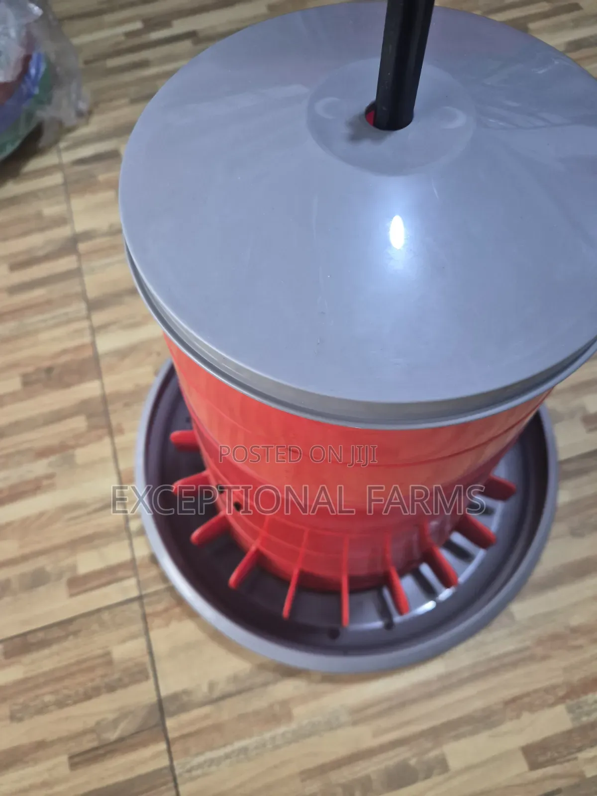 22L Poultry Feeder